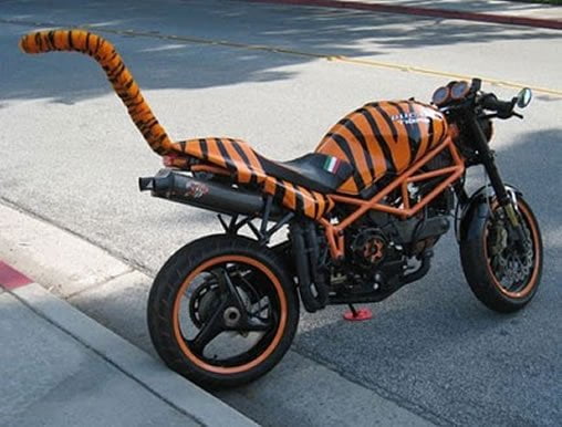 motos curiosas