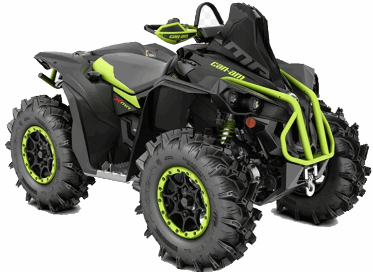 can am 1000 renegade