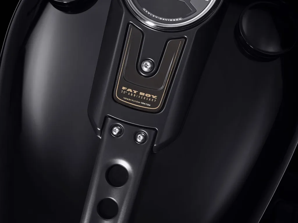 HARLEY DAVIDSON FAT BOY 2020