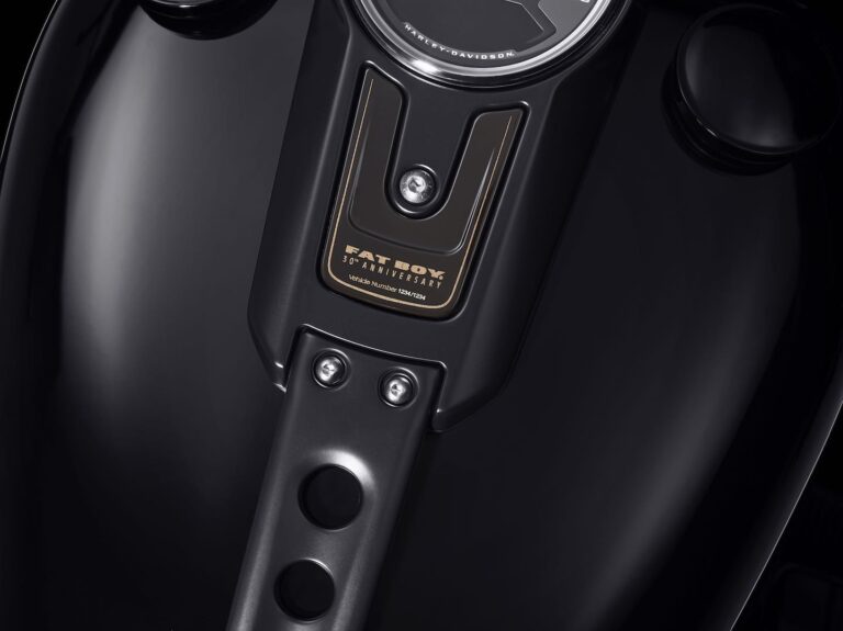 HARLEY-DAVIDSON FAT BOY 2020
