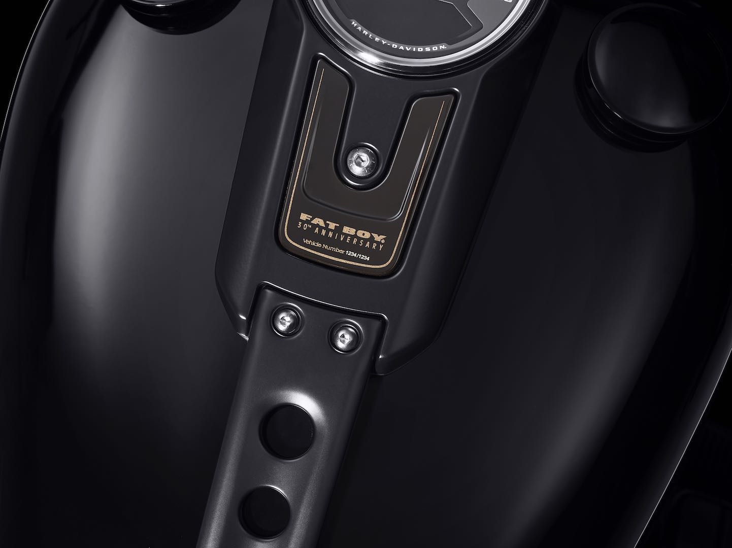 HARLEY-DAVIDSON FAT BOY 2020