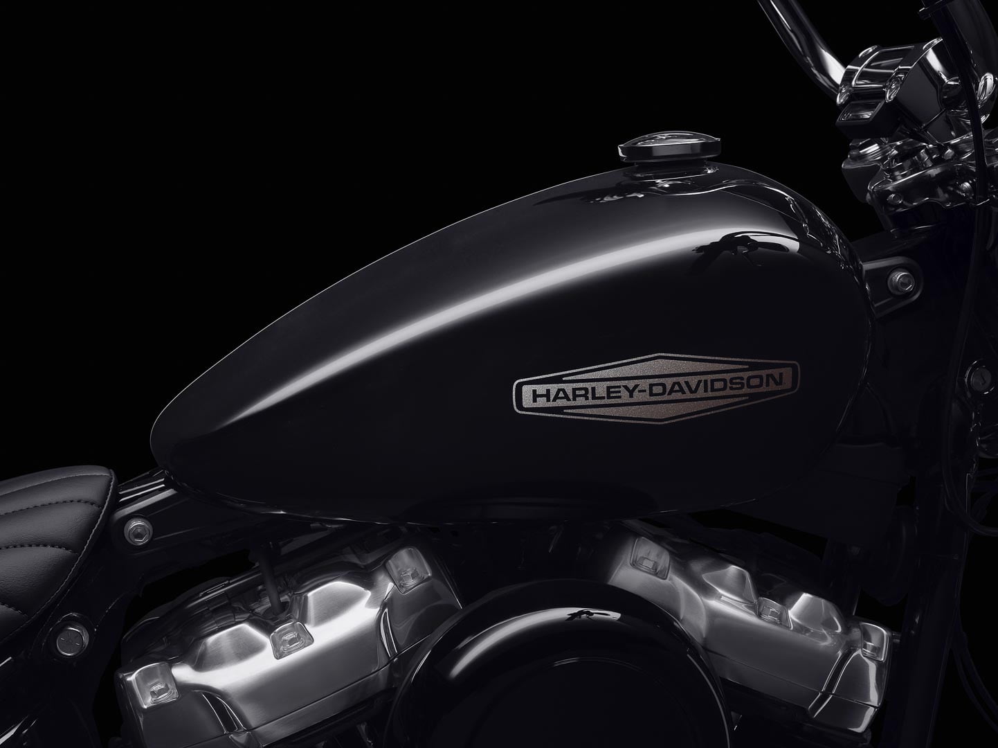 HARLEY-DAVIDSON SOFTAIL STANDARD 2020
