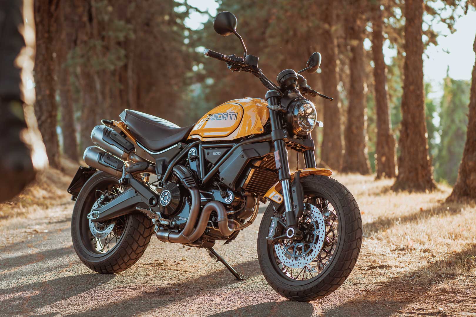 Ducati Scrambler 1100 Tribute Pro 2022