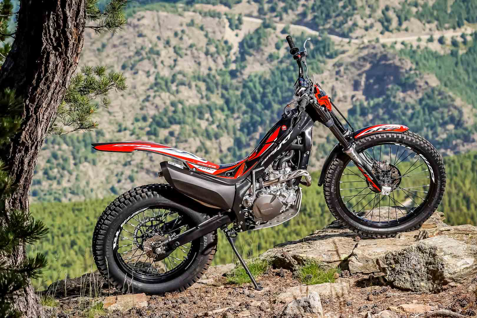 Alineación Honda Montesa Cota 2022