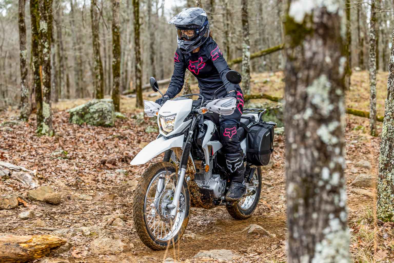 xr150