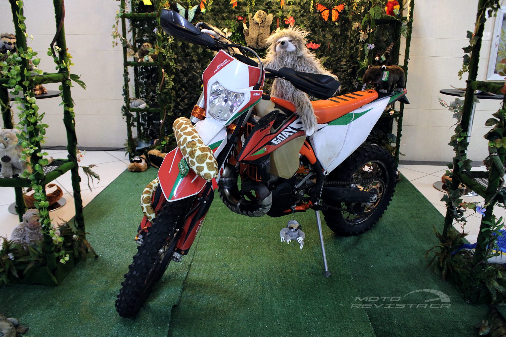 nitro circus fauna