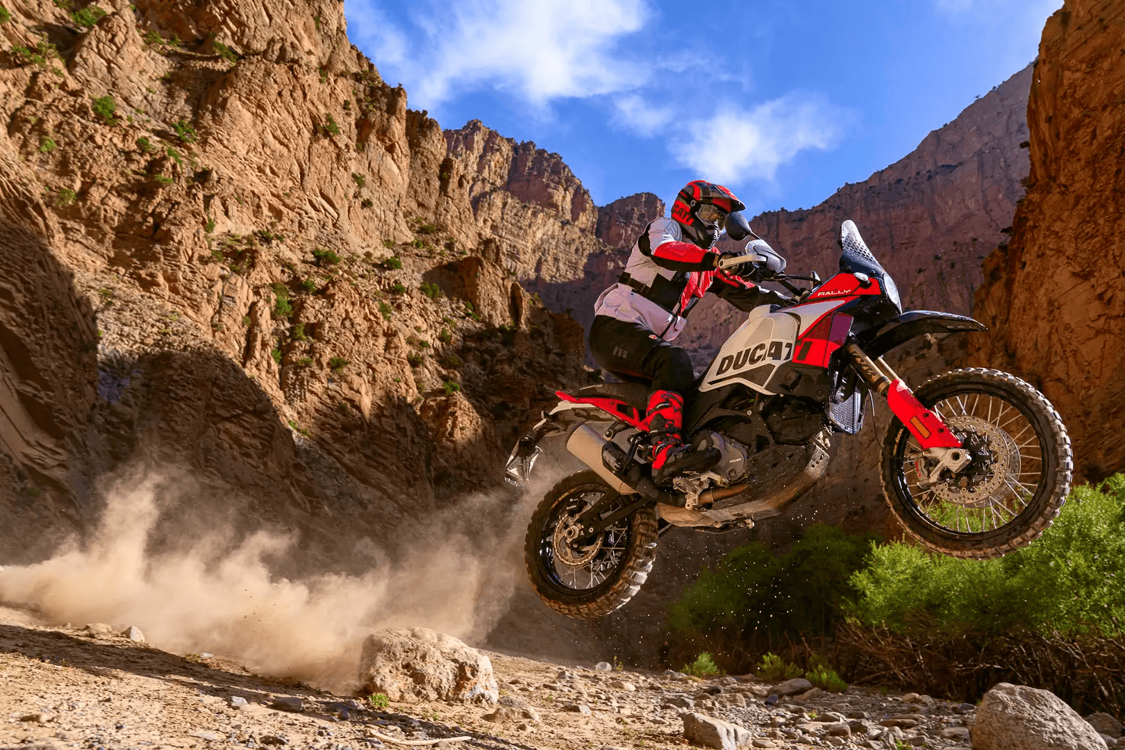Ducati DesertX Rally 2024