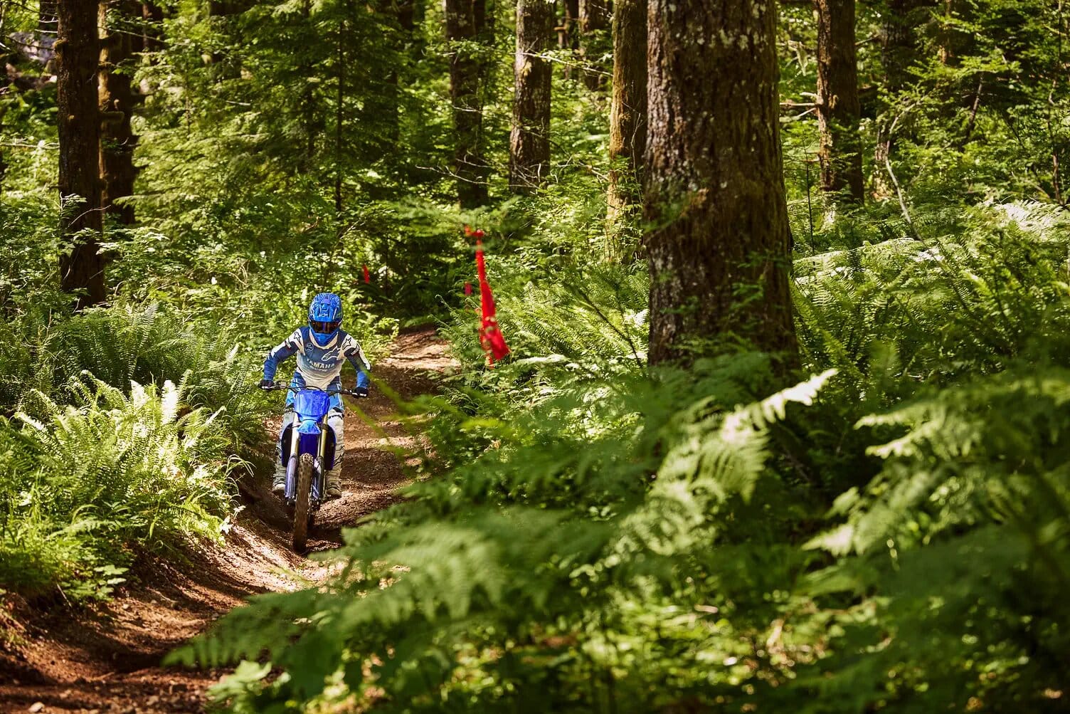 Yamaha YZ