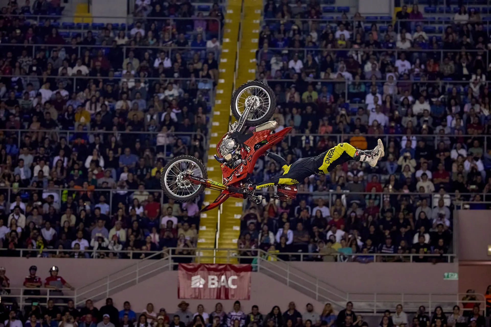 X-Knights Costa Rica